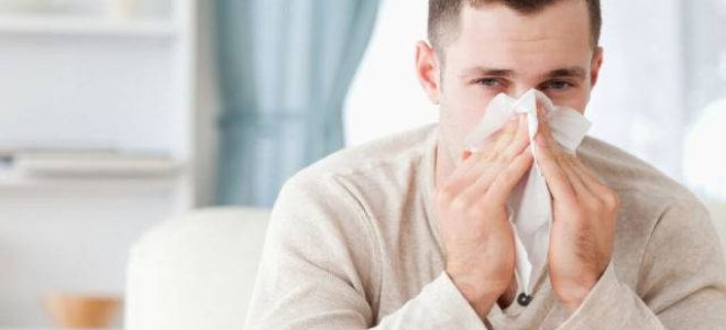 Как быстро вылечить кашель и насморк: народные рецепты и препараты, помогающие избавиться от недуга